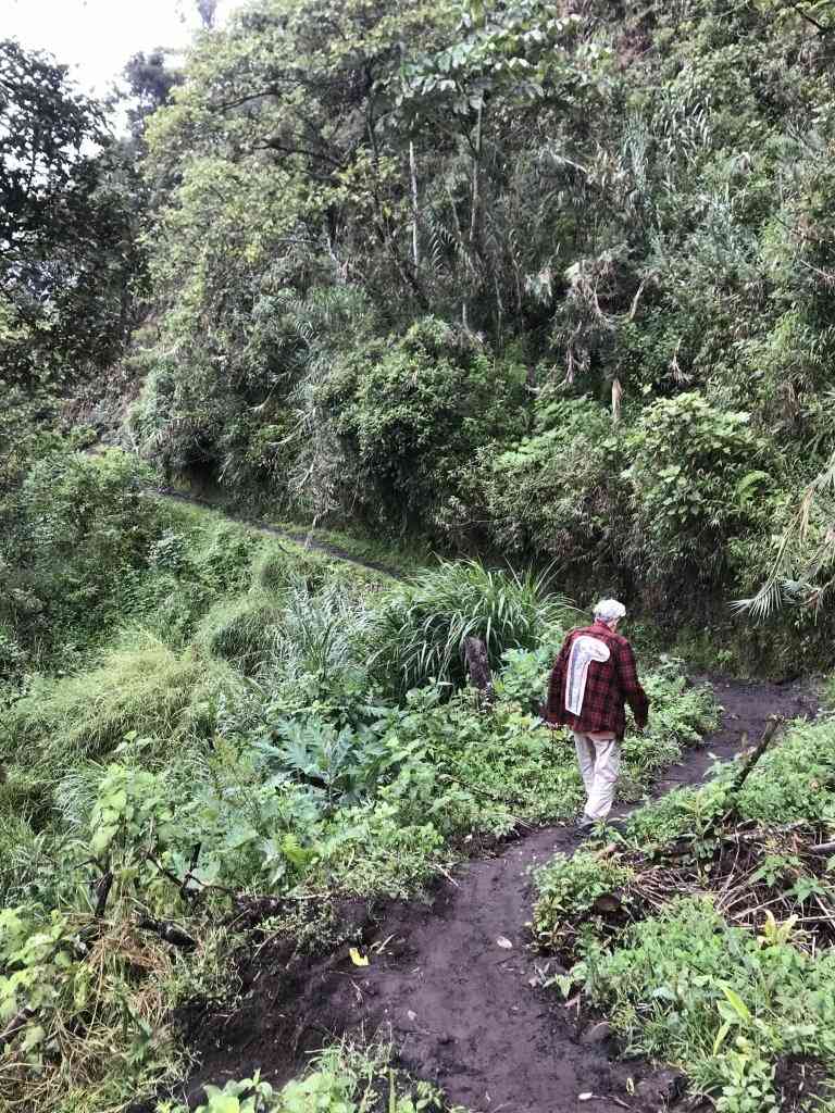 Ecuador T-Shirt | Art painted by Em and Ahr