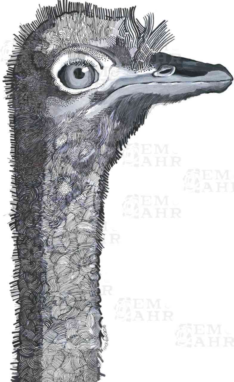 Ostrich T-Shirt | Art painted by Em and Ahr