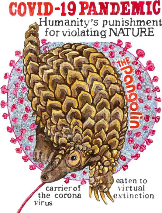 Pangolin T-Shirt | Art painted by Em and Ahr