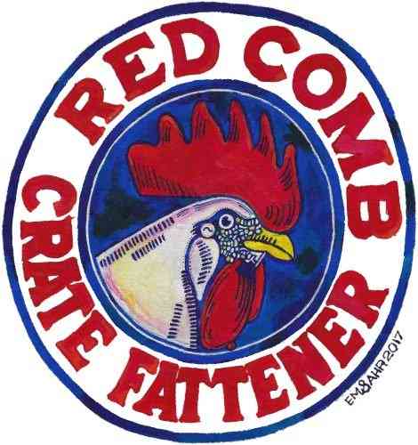 Rooster T-Shirt - Em & Ahr