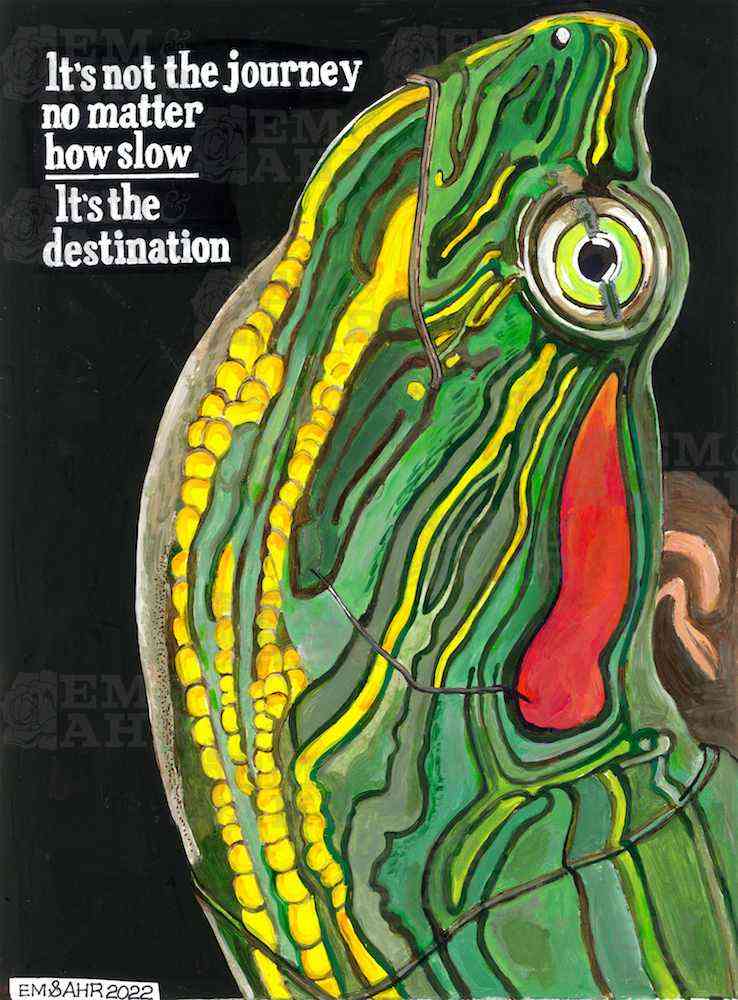 Turtle Art | Art painted by Em and Ahr